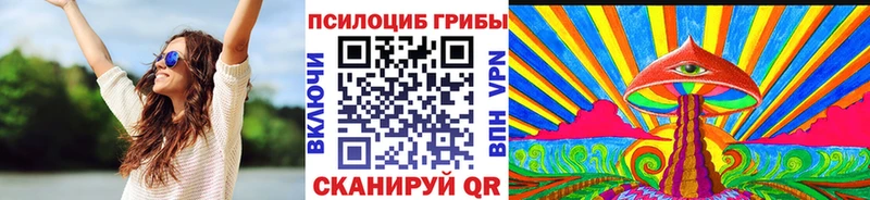 где найти   Борисоглебск  Галлюциногенные грибы мицелий 